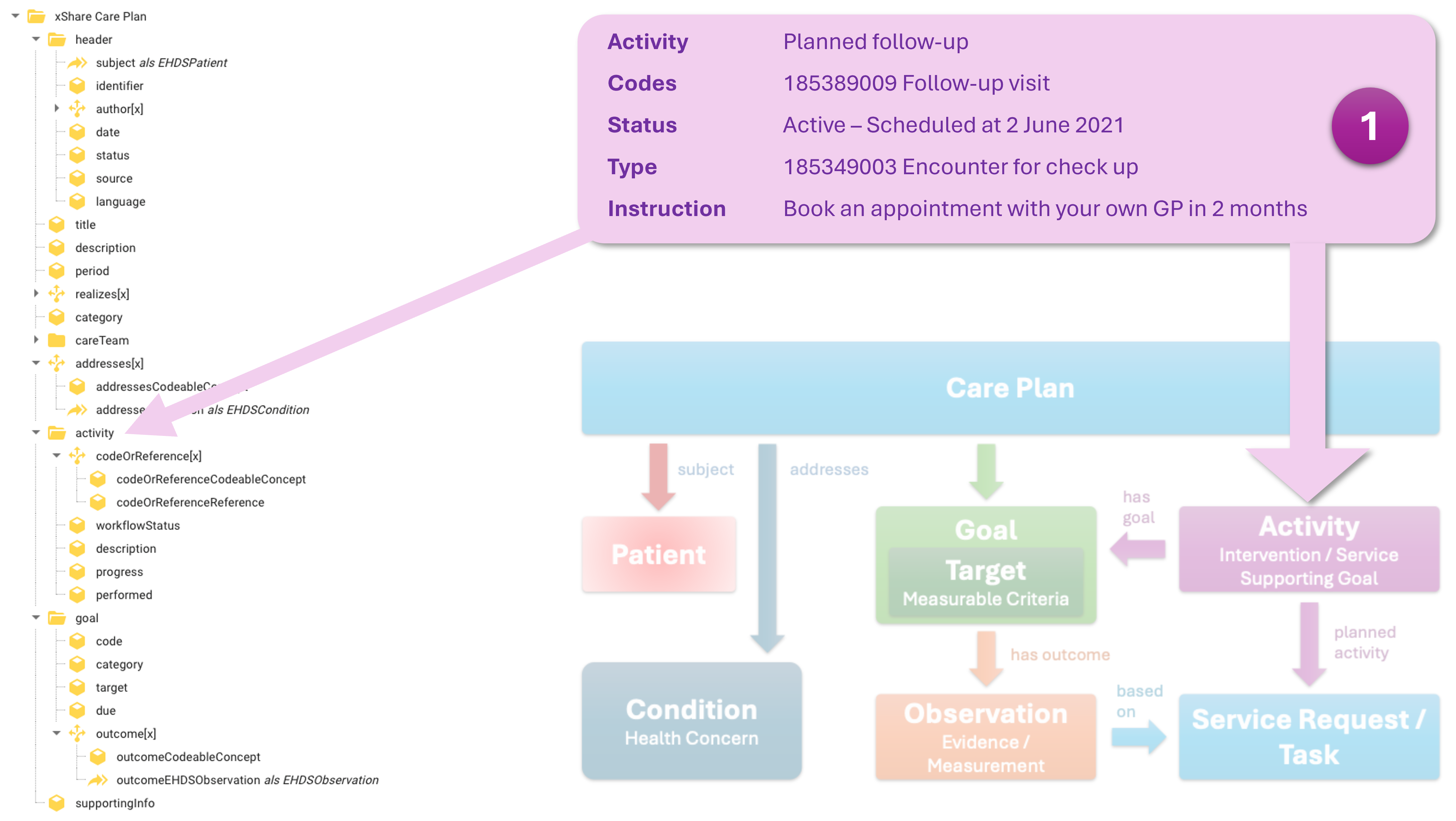 Care Plan activity information mapped to the logical model