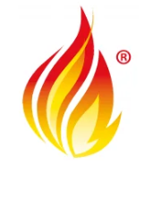 HL7 FHIR website